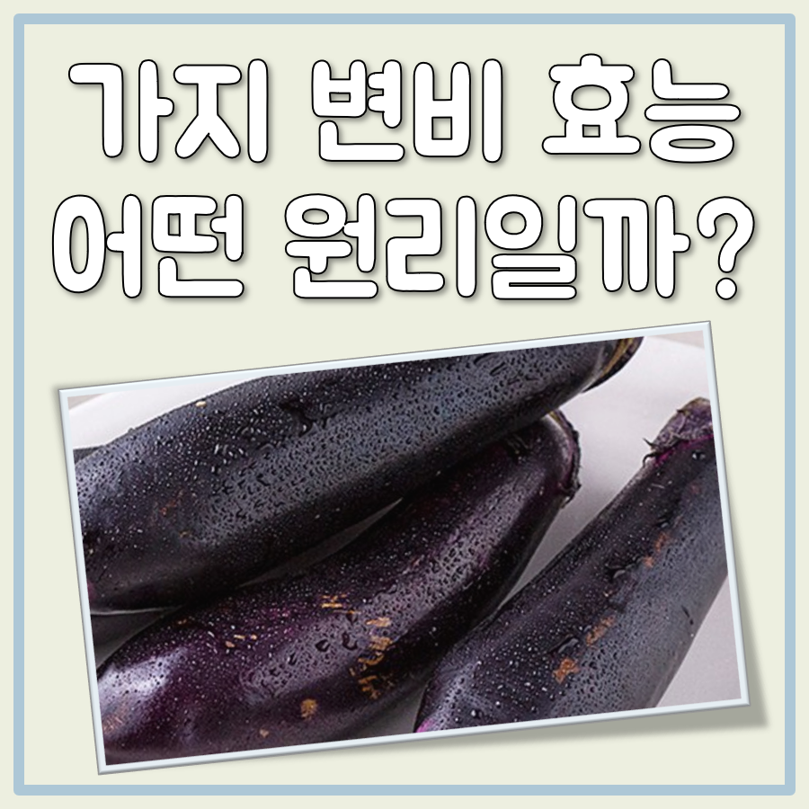 가지 변비 효능