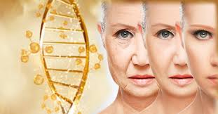 항노화 관련이미지