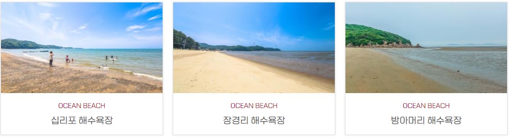 대부도 갈만한 곳