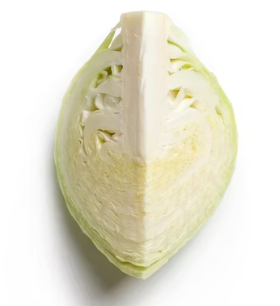 비타민C 많은 음식 (식품 과일 채소)