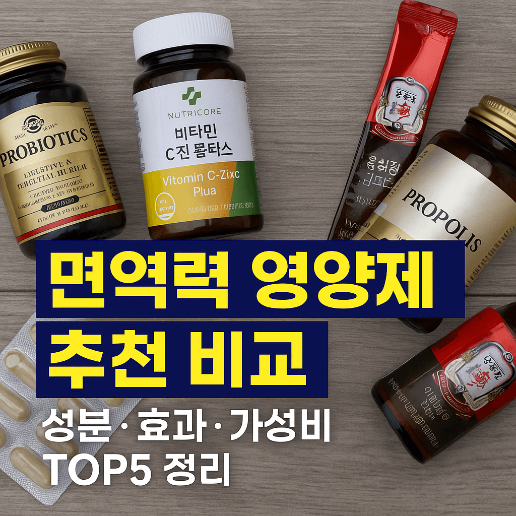 면역력 영양제 top5