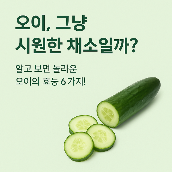 오이 효능 : 오이의 놀라운 효능 알고 드세요!