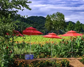 임진강 댑싸리공원_24