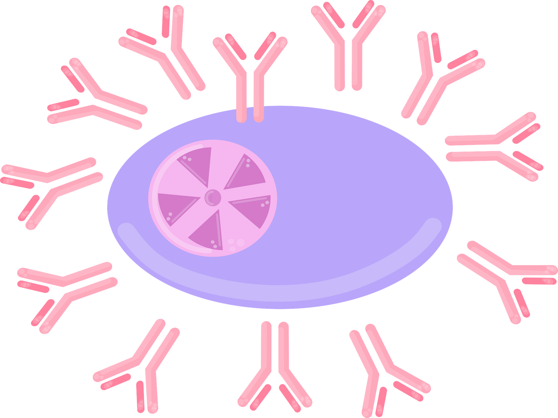 겨울철 면역력 높이는 음식 BEST | 겨울철 건강 지키는 슈퍼푸드