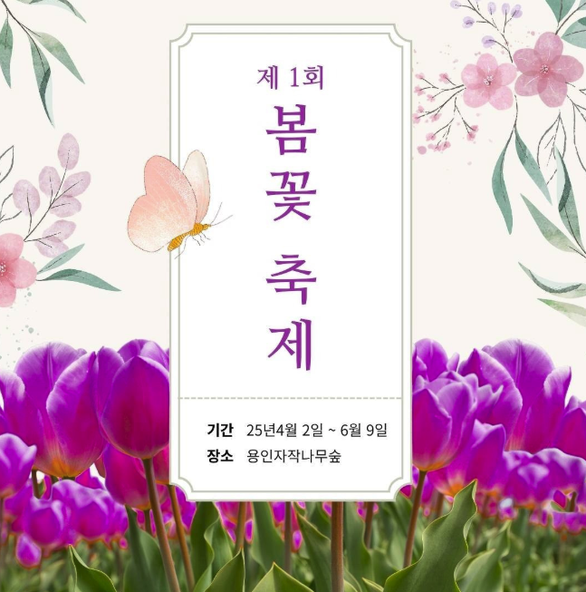 용인 자작나무숲 봄꽃 축제