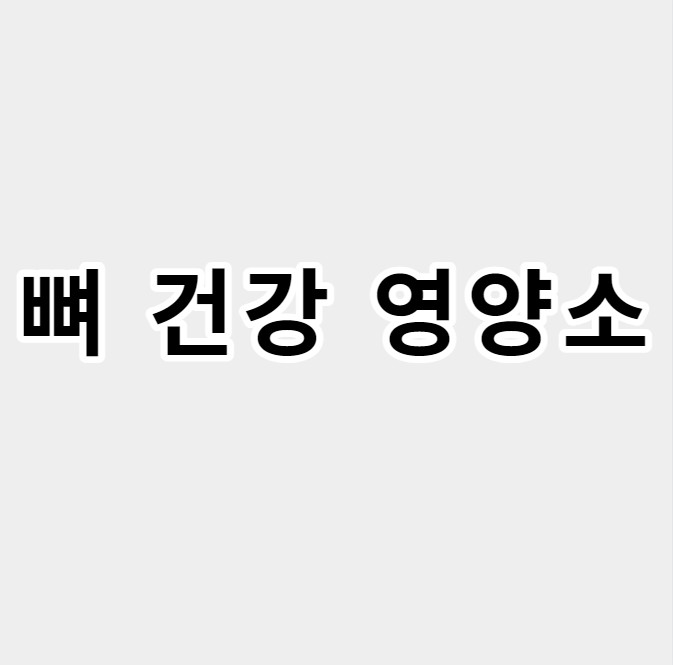 뼈건강영양소