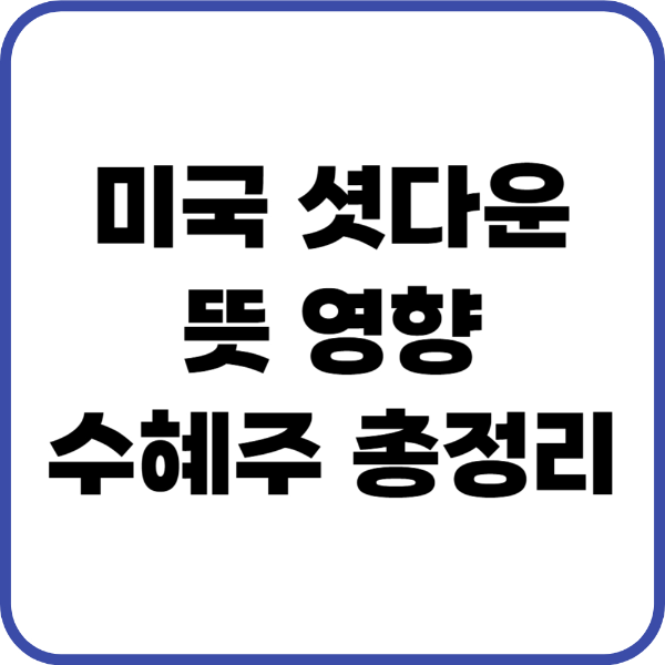 미국 셧다운