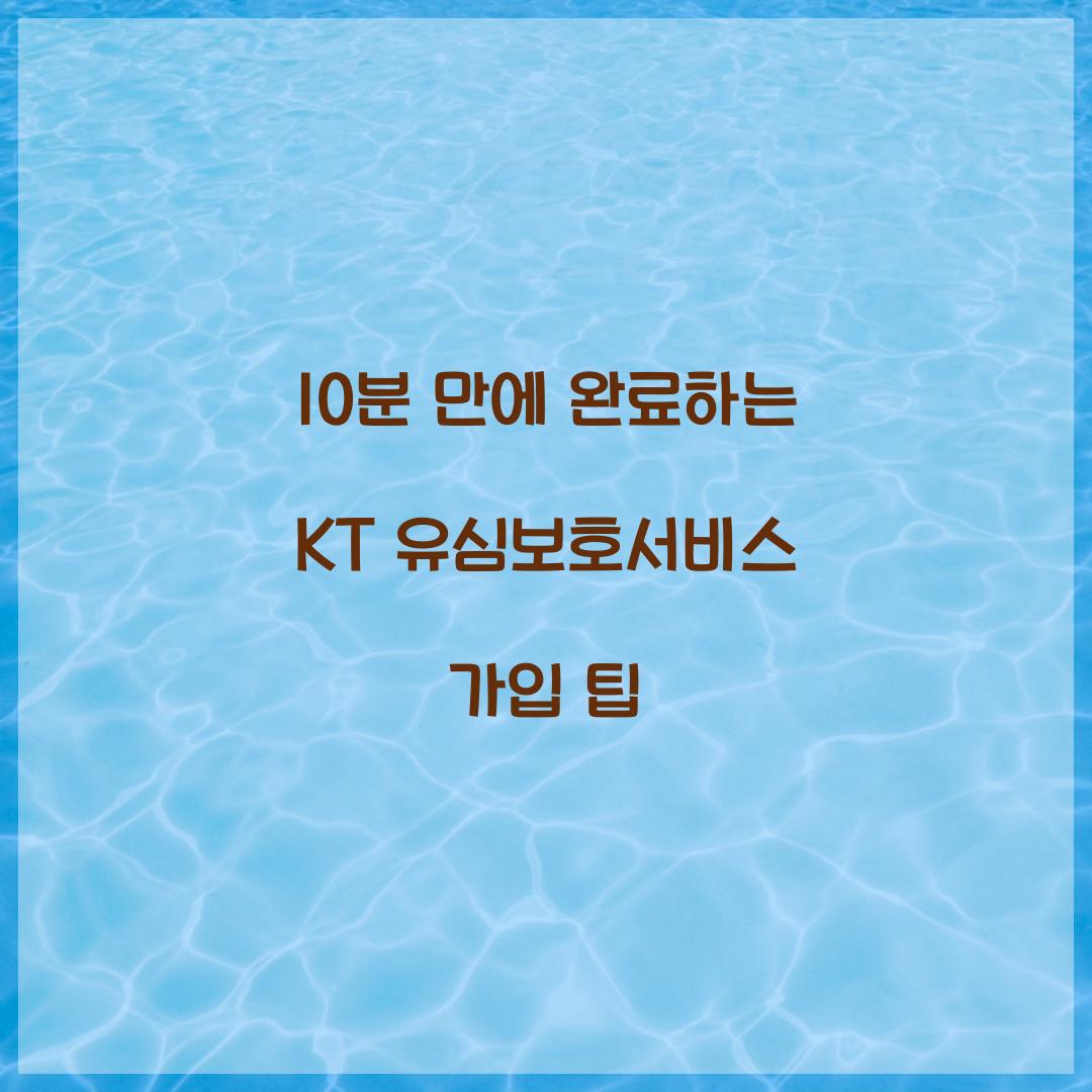 10분 만에 완료하는 KT 유심보호서비스 가입 긴급 가이드