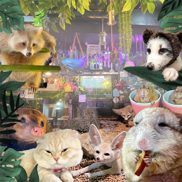 홍대 놀거리 테이블에이2