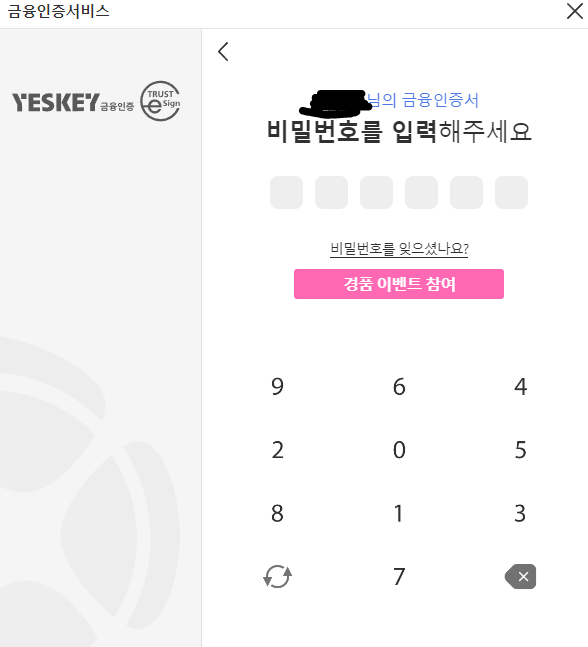 금융인증서 비밀번호 입력