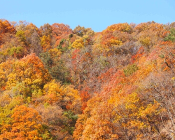 단풍 명소 설악산_2
