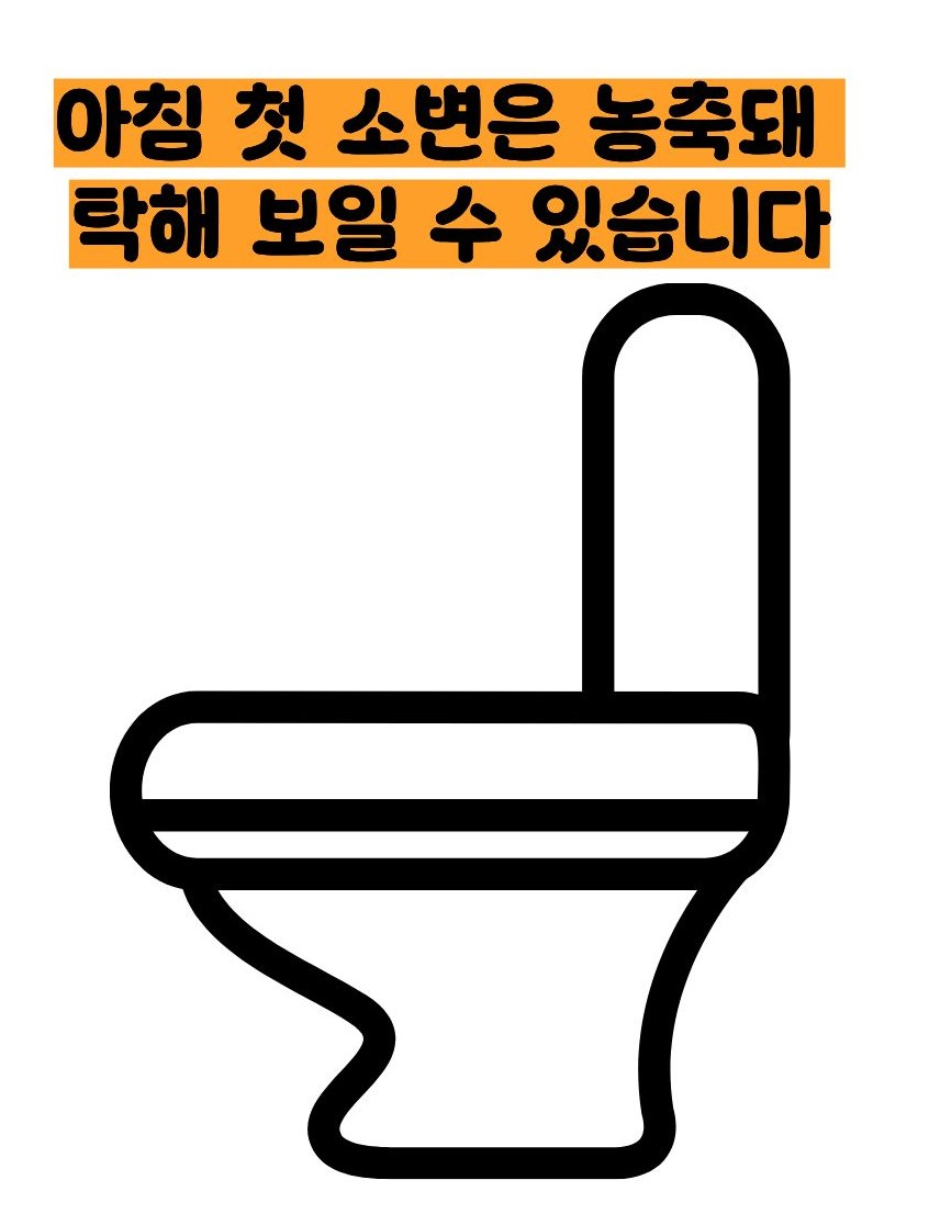 오줌이 탁한이유