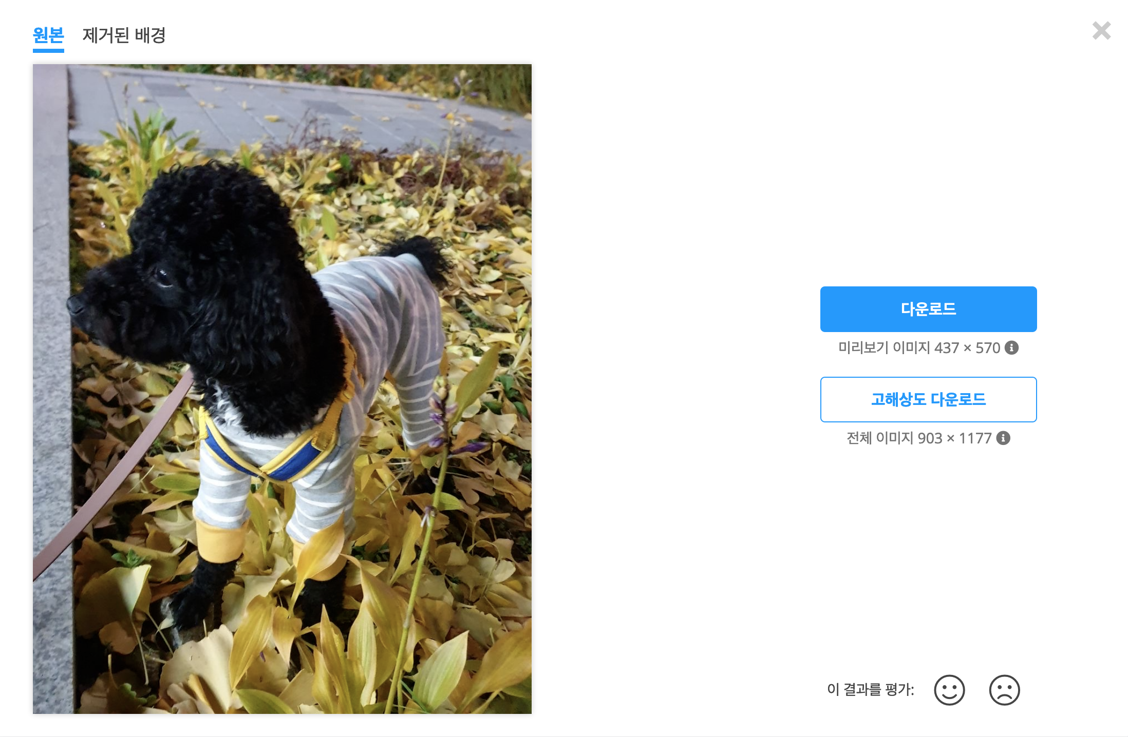 복잡한 배경의 사진 원본