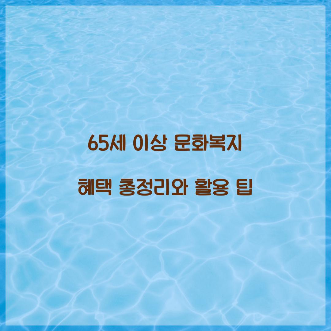 65세 이상 문화복지
