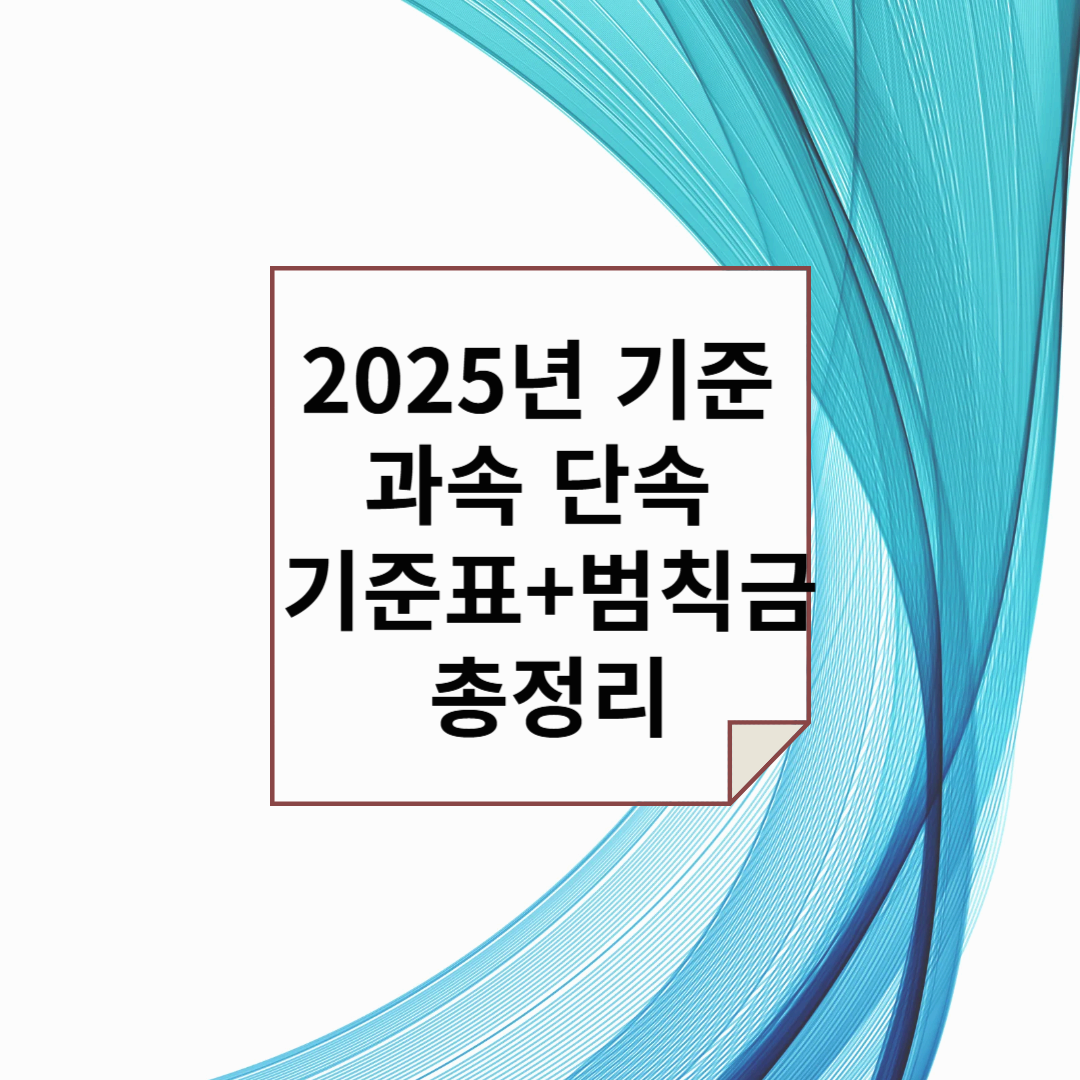 2025년 기준 과속 단속 기준표 + 범칙금 총정리