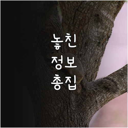 셋째아 이상 평택시민 2025년 양육..