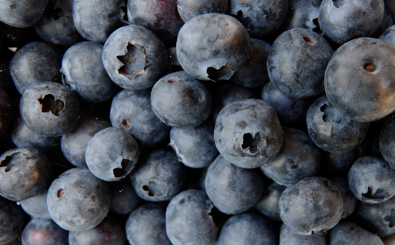 항산화에 좋은 음식