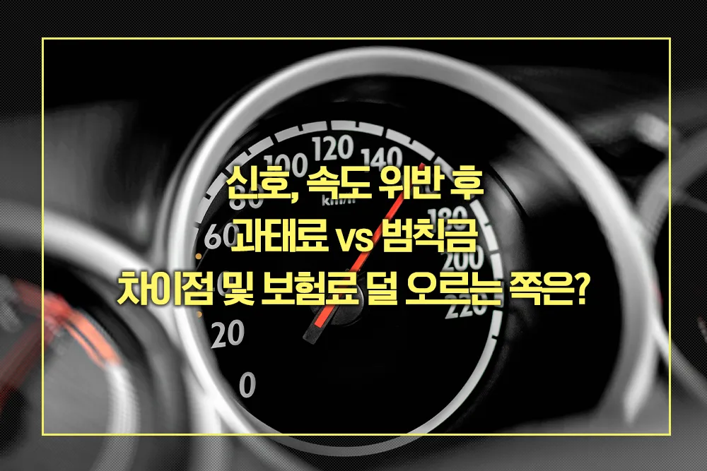 신호 속도 위반 과태료 vs 범칙금 차이점
