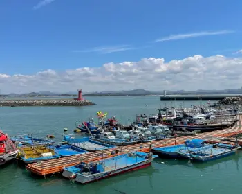 서천 동백꽃 주꾸미 축제_27