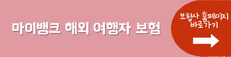 여행자보험 천재지변