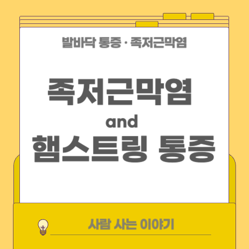 족저근막염과 햄스트링 통증이랑 관계있을까? ❘ 족저근막 &amp; 햄스트링 이완 스트레칭 루틴