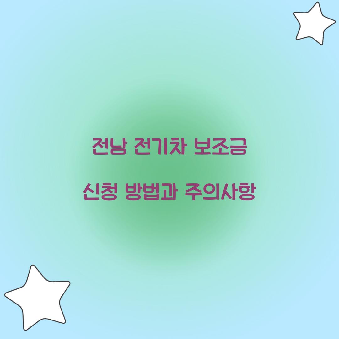 전남 전기차 보조금