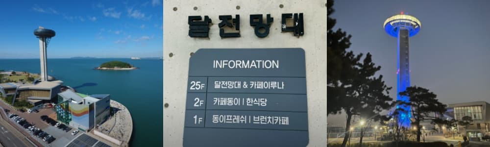 생생정보통 오늘방송(3월 6일) 맛집 사또횟집사또조개구이,누에섬,대림농장,안산식물원,시화달전망대