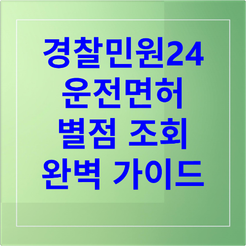 운전면허 벌점 조회