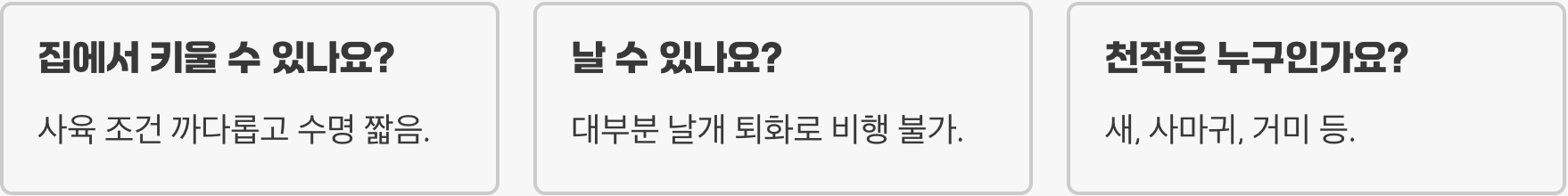 나뭇가지 코스프레, 위장의 달인 대벌레의 모든 것