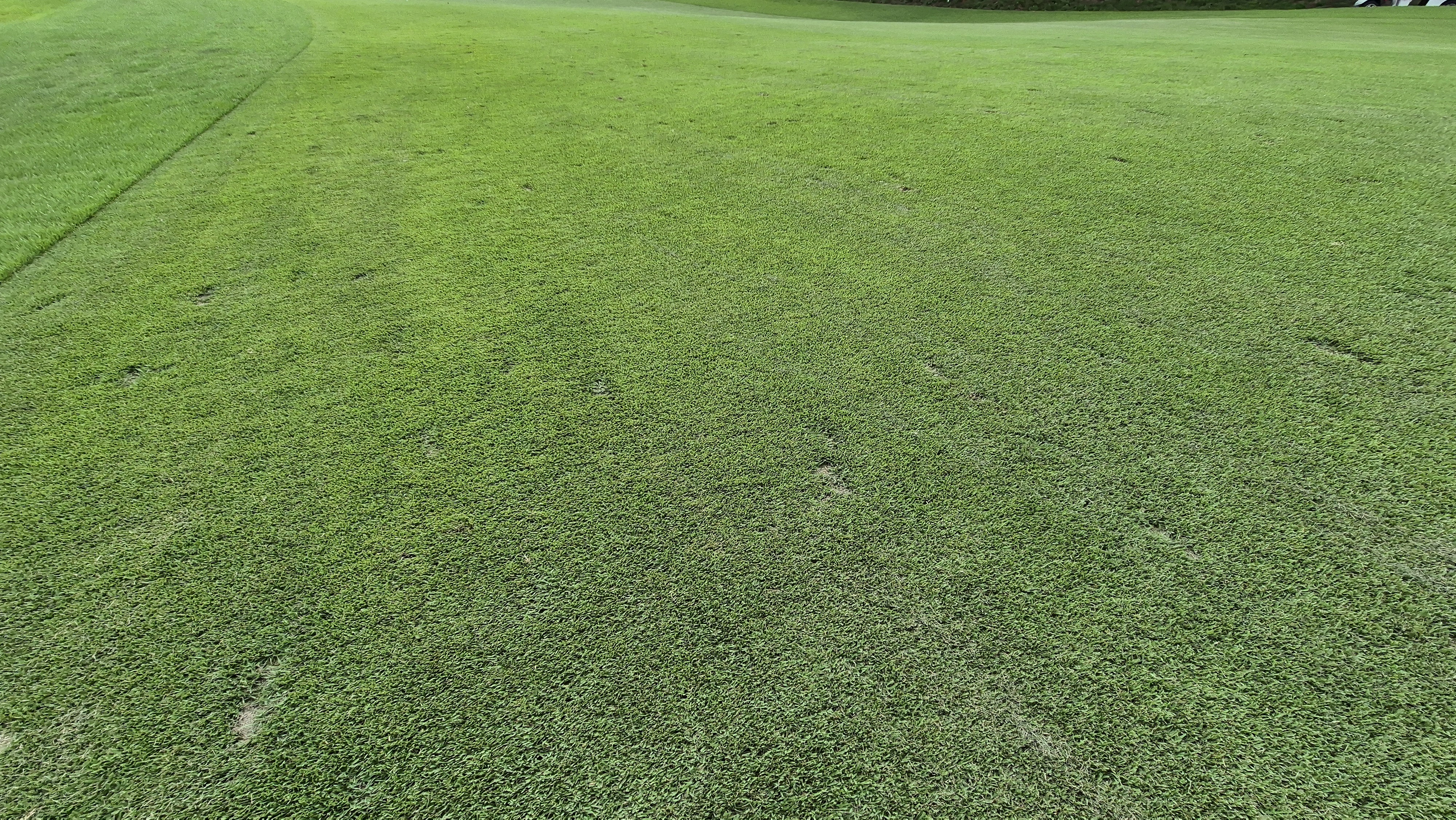 참밸리cc 라운드 후기