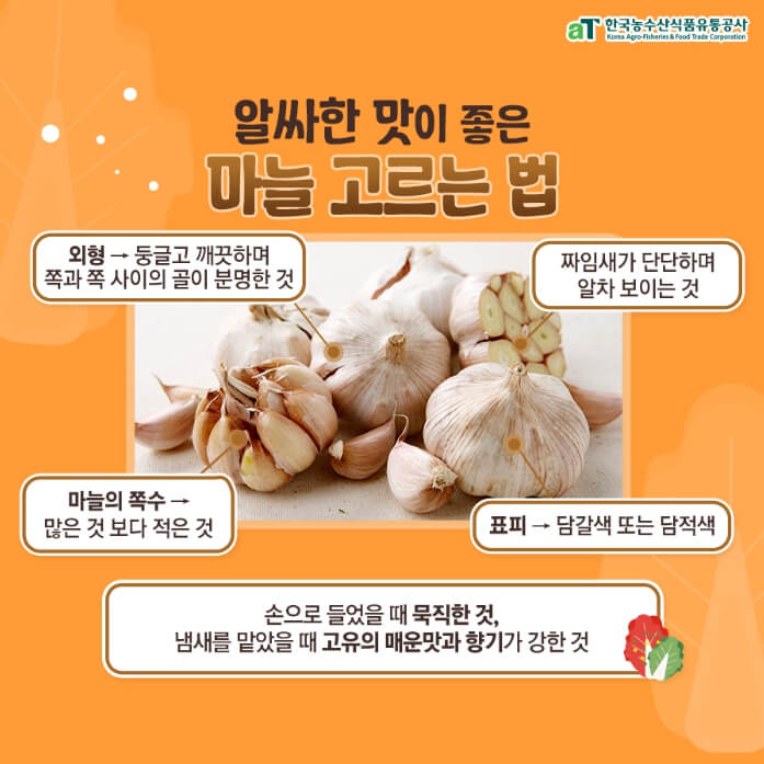 김장김치재료-좋은-마늘