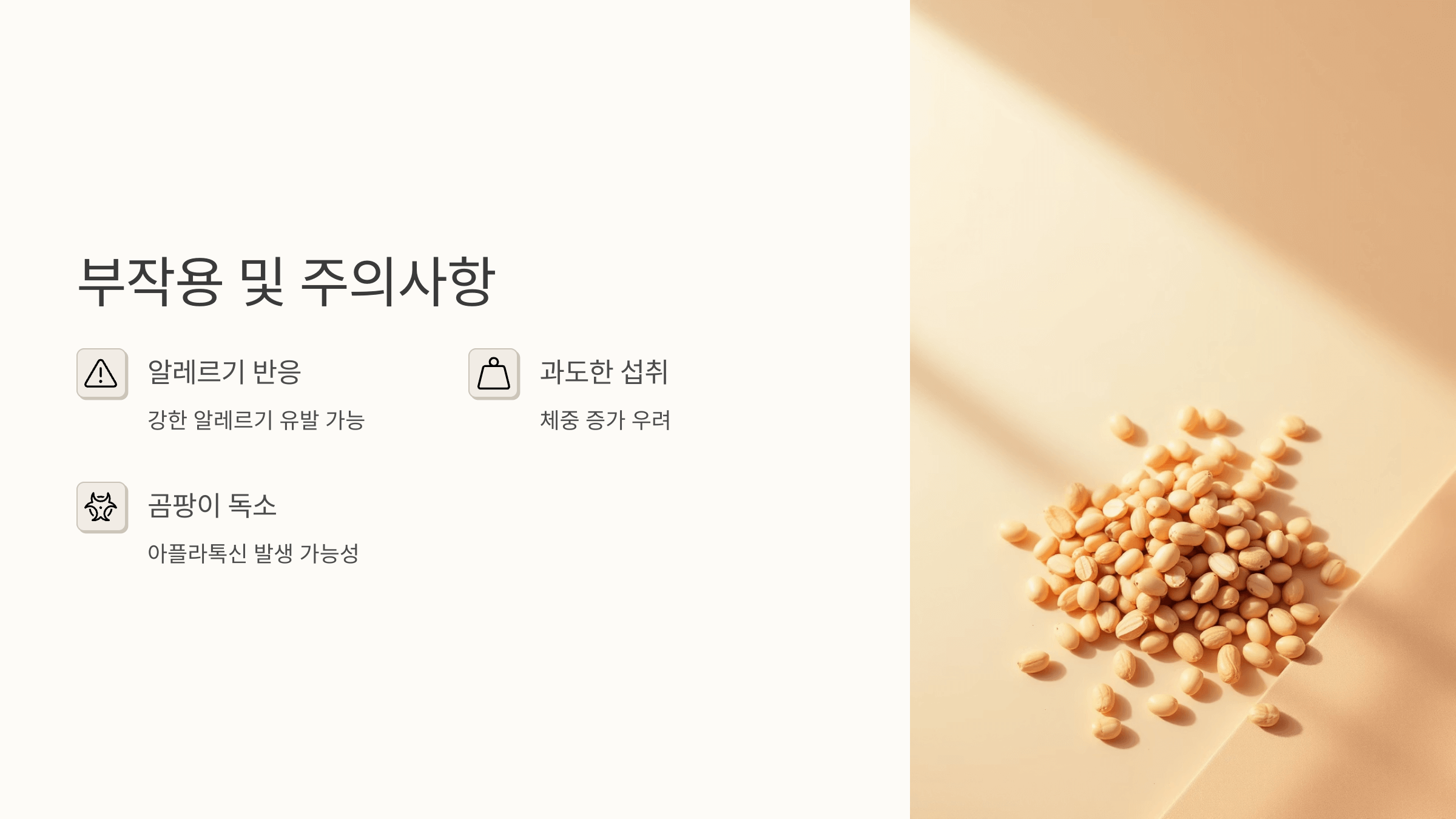 땅콩 사진입니다.