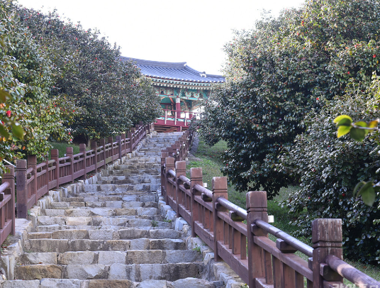 마량리 동백나무 숲