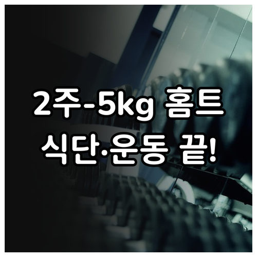 홈트 초보 2주 다이어트 식단과 운동..