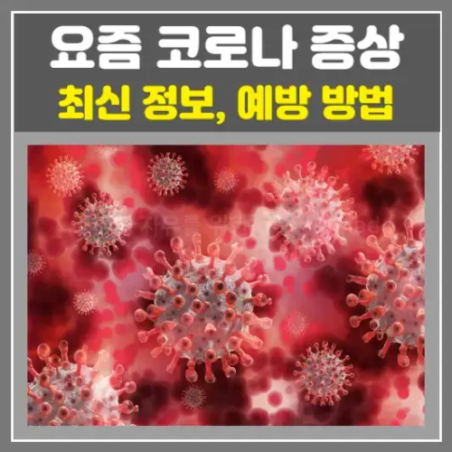 요즘 코로나 증상, 최신 정보와 예방 방법