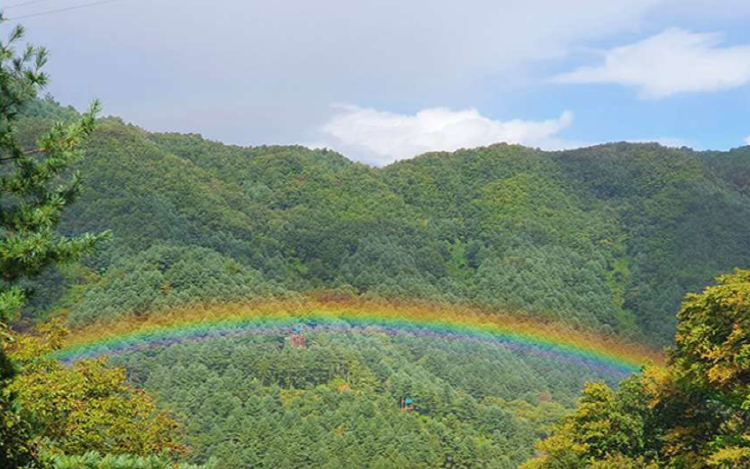 가평 브릿지 짚라인
