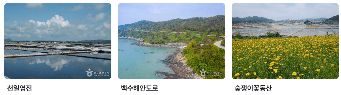 4월 전라남도 축제 가볼만한 곳 벚꽃 유채꽃 여행 추천 여행지