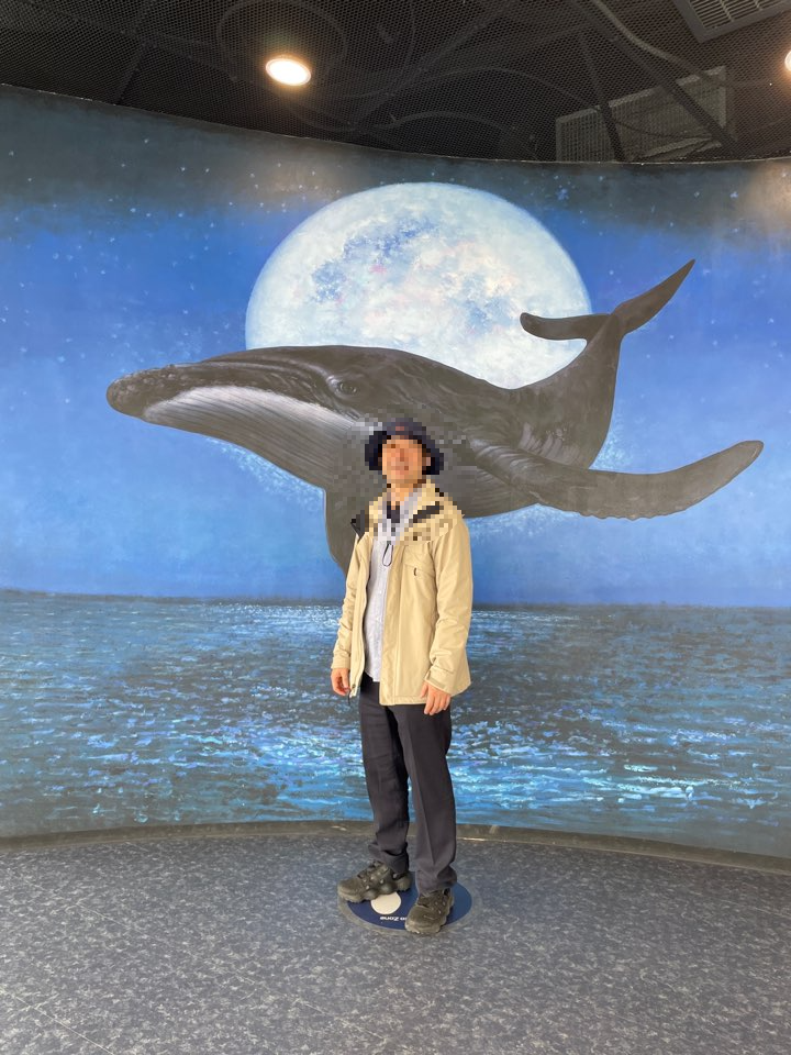 시화조력발전소