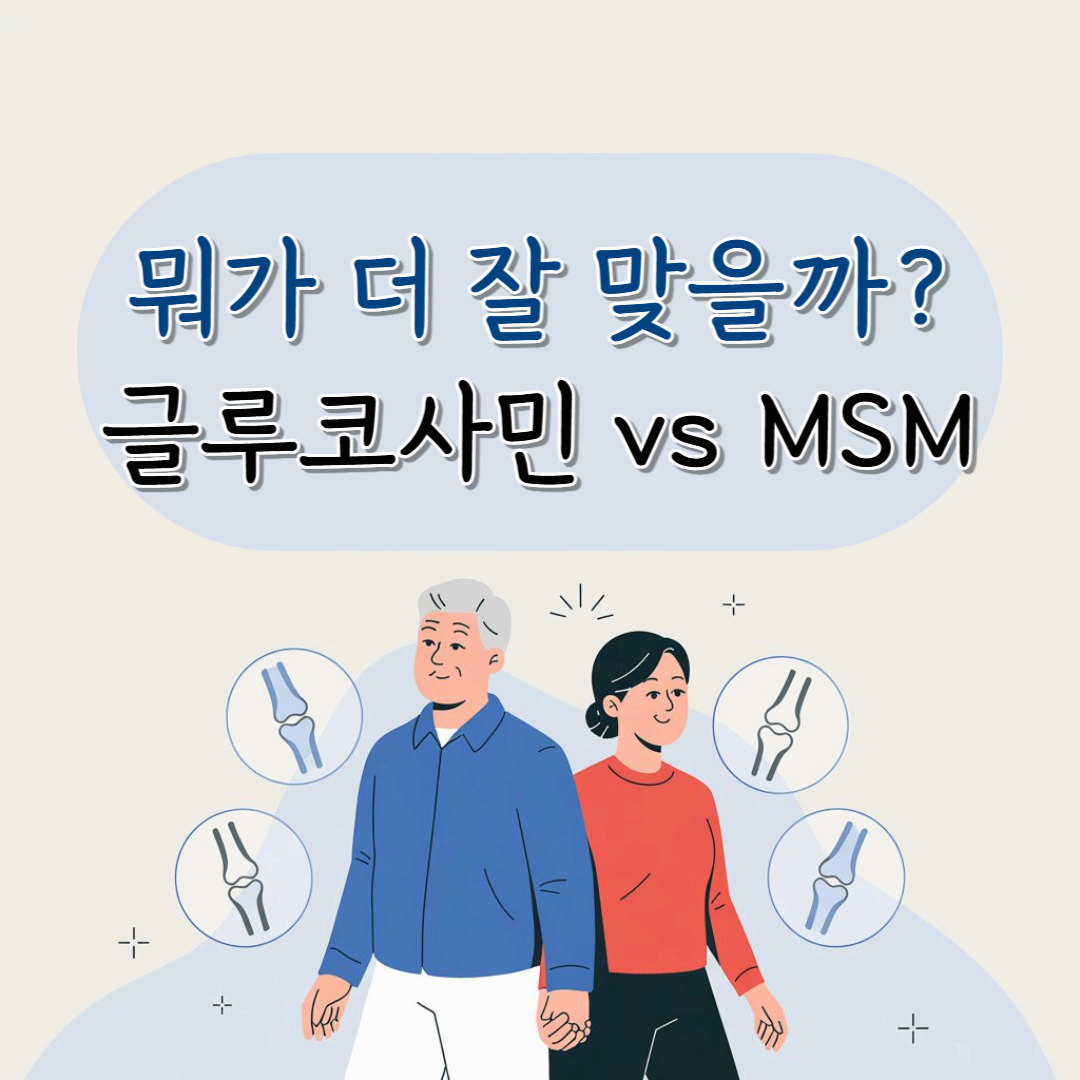 글루코사민 vs MSM, 실제 복용자들의 체감 차이는?