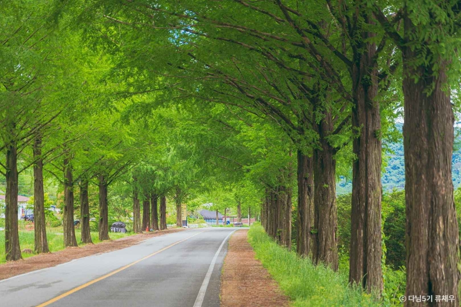 진안 가볼만한곳 베스트10