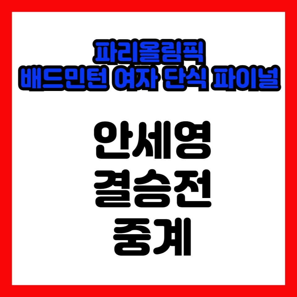 올림픽-안세영