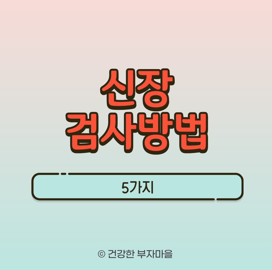 신장 검사방법