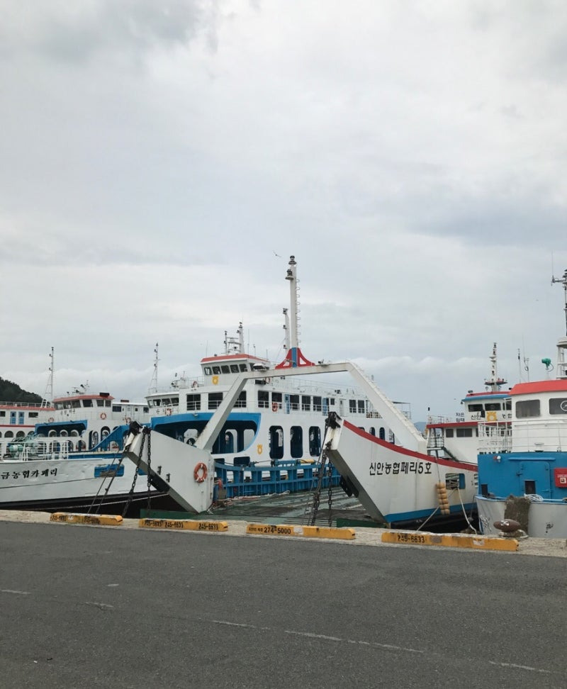 비금도 배시간표