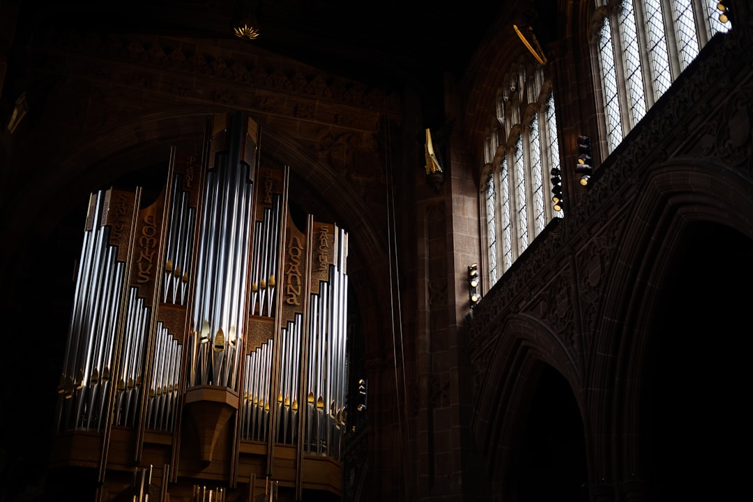 Organ
