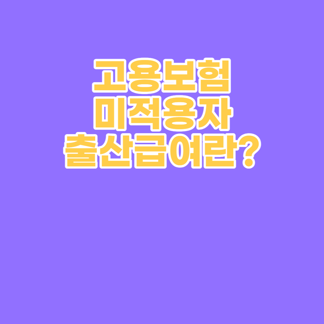 고용보험 미적용자 출산급여