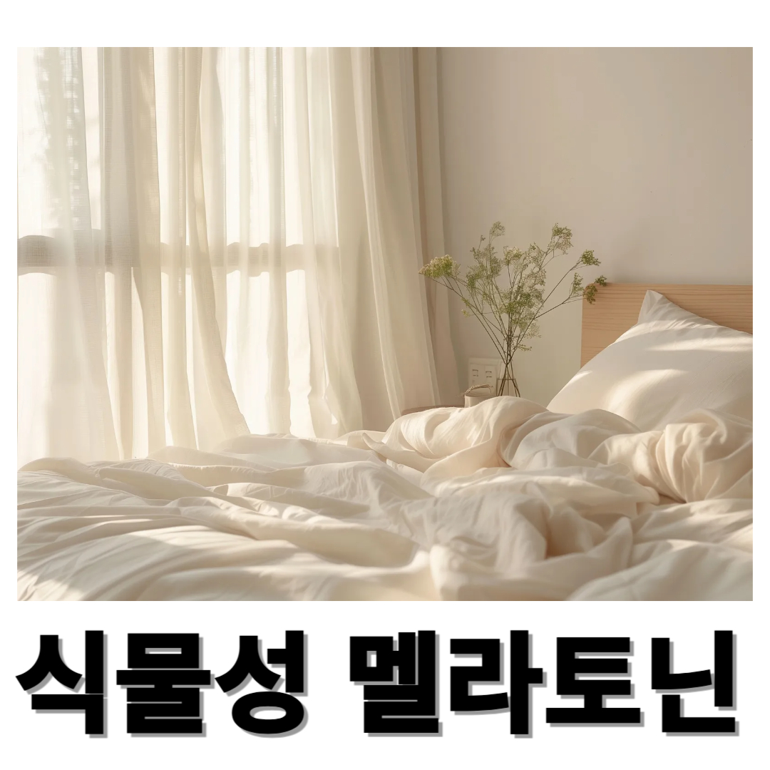 식물성 멜라토닌과 관련된 사진입니다.