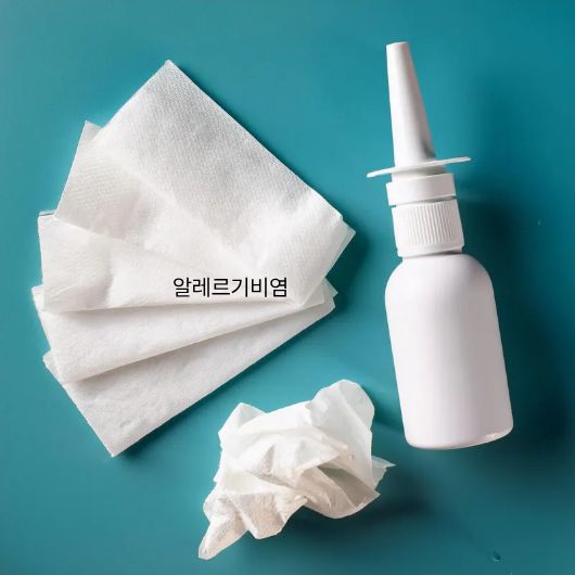 알레르기 비염 증상과 효과적인 예방법