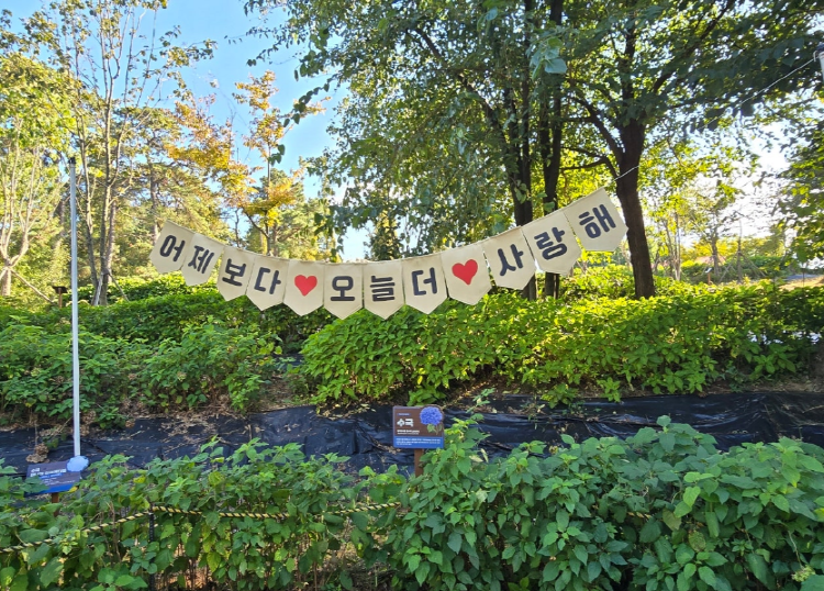 내리문화공원
