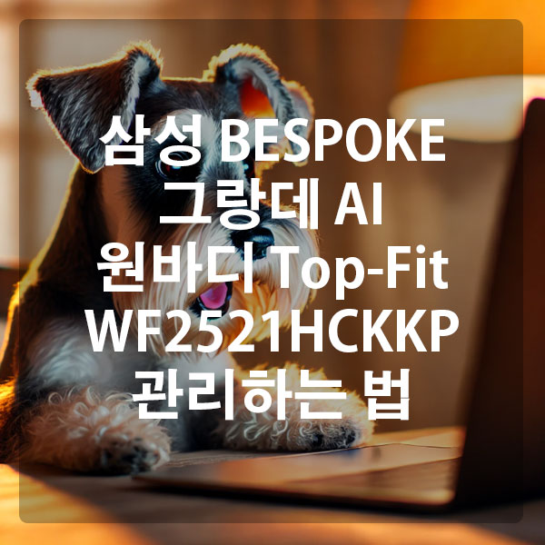 삼성 BESPOKE 그랑데 AI 원바디 Top-Fit WF2521HCKKP 관리하는 법