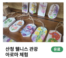 산청황매산 철쭉제
